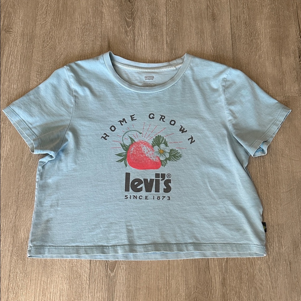 Levi's Fresh Jordie Cropped Strawberry T-Shirt in Light Blue Size Medium
